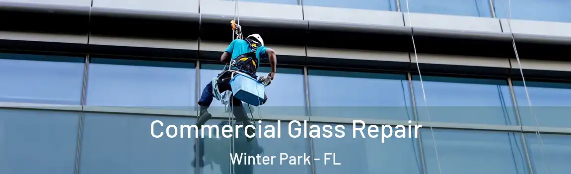  Commercial Glass Repair Winter Park - FL