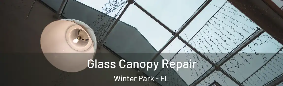  Glass Canopy Repair Winter Park - FL