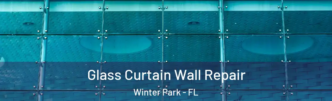  Glass Curtain Wall Repair Winter Park - FL